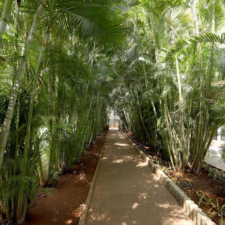 Photo of Others in Koregaon Park