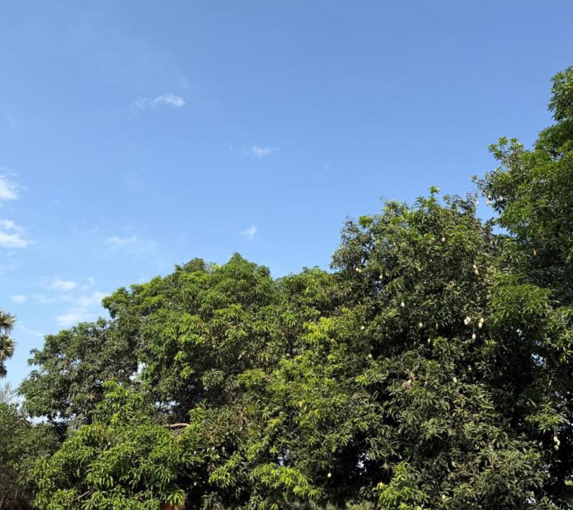 Photo of Others in Auroville