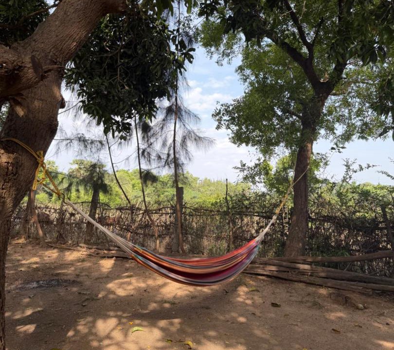 Photo of Others in Auroville