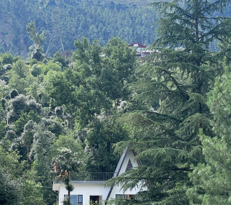 Photo of Others in Patnitop