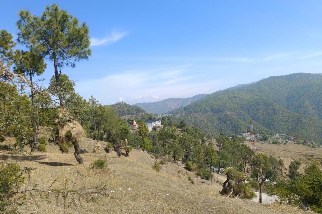 Photo of Others in Almora