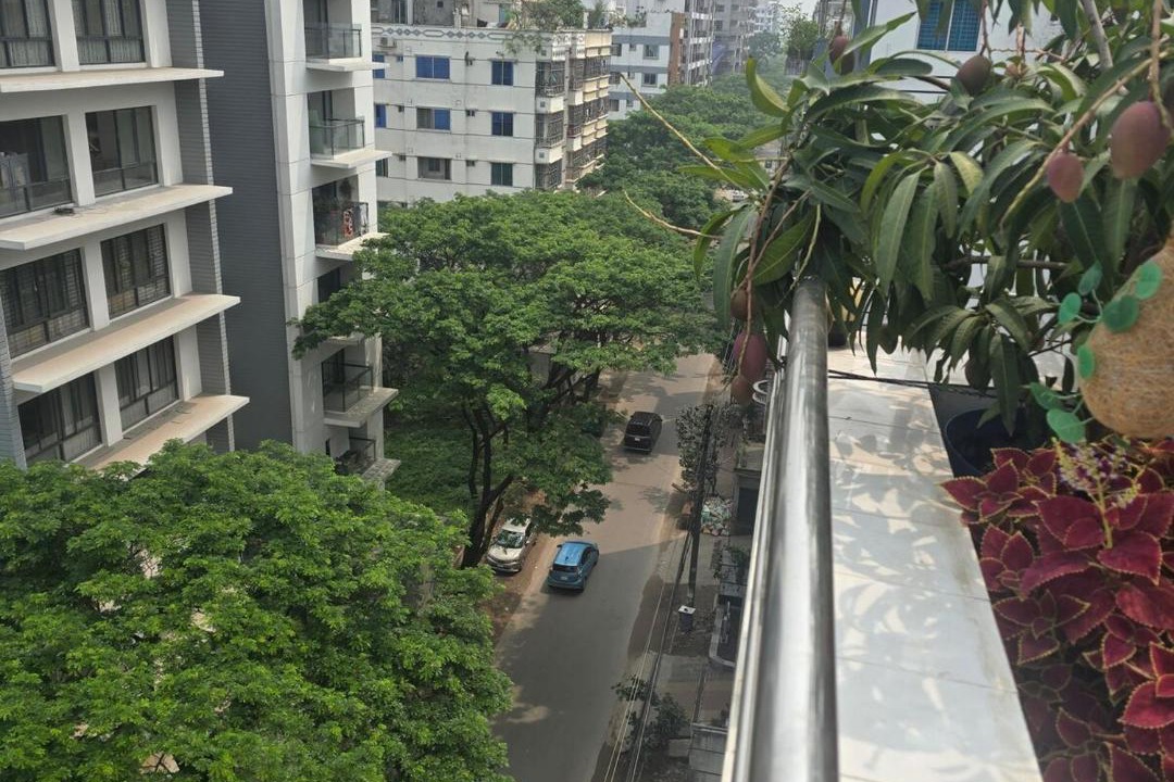 Photo of Patio Balcony in Basundhara Residential Area