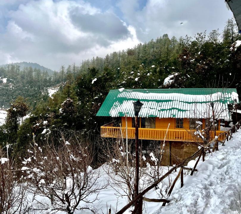 Photo of Others in Shilon Bagh