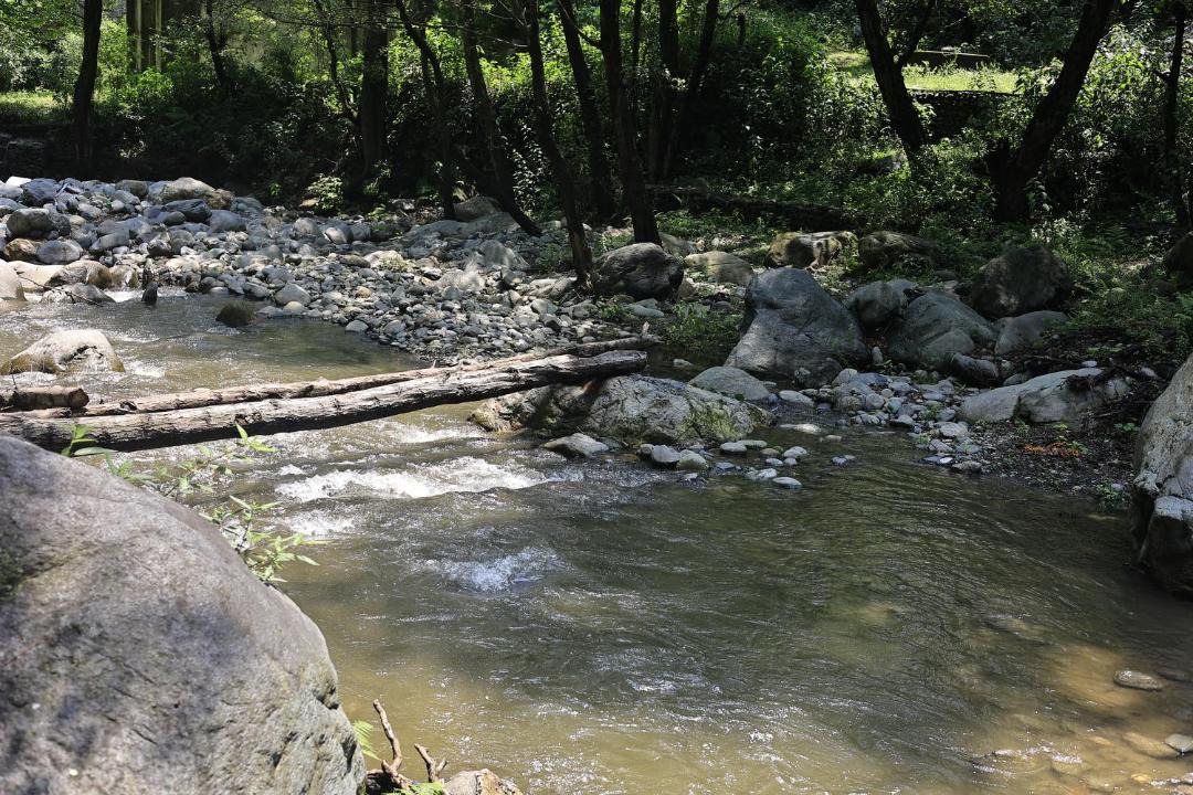 Photo of Others in Chamba