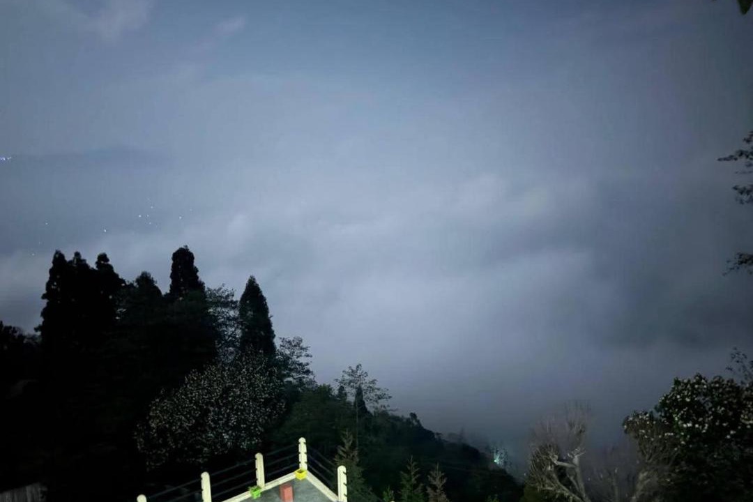 Photo of Others in Darjeeling