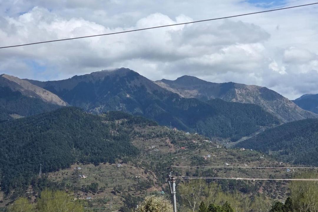 Photo of Others in Patnitop