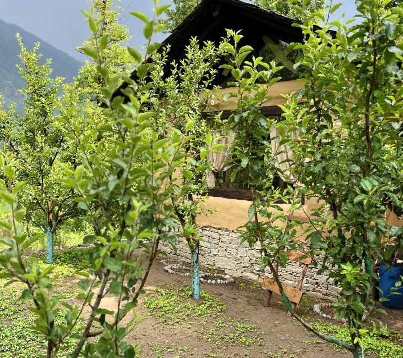 Photo of Others in Manali