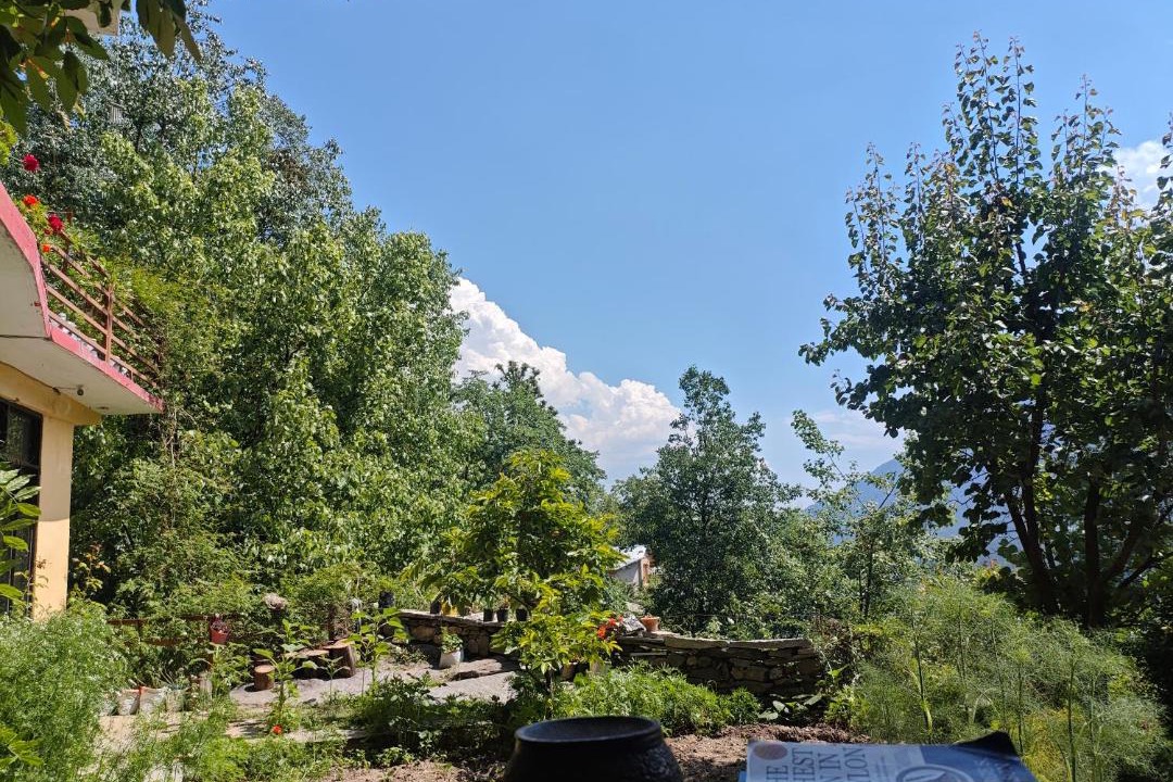 Photo of Others in Manali