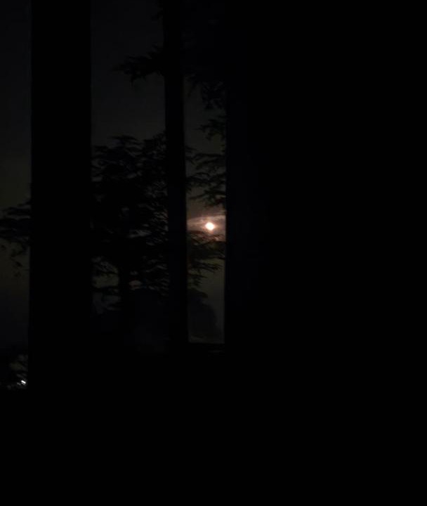 Photo of Others in Shimla