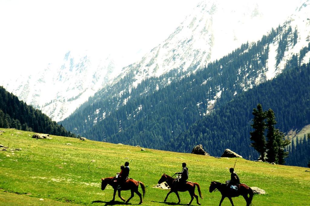 Photo of Others in Rajbagh