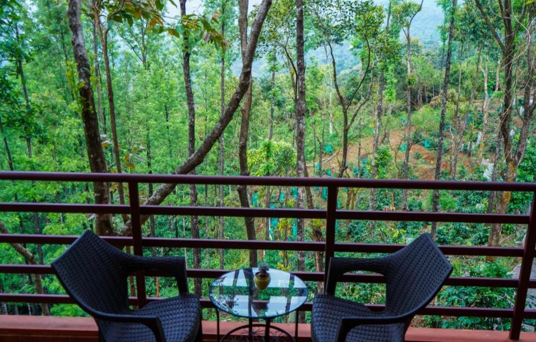 Photo of Patio Balcony in Chikkamagaluru
