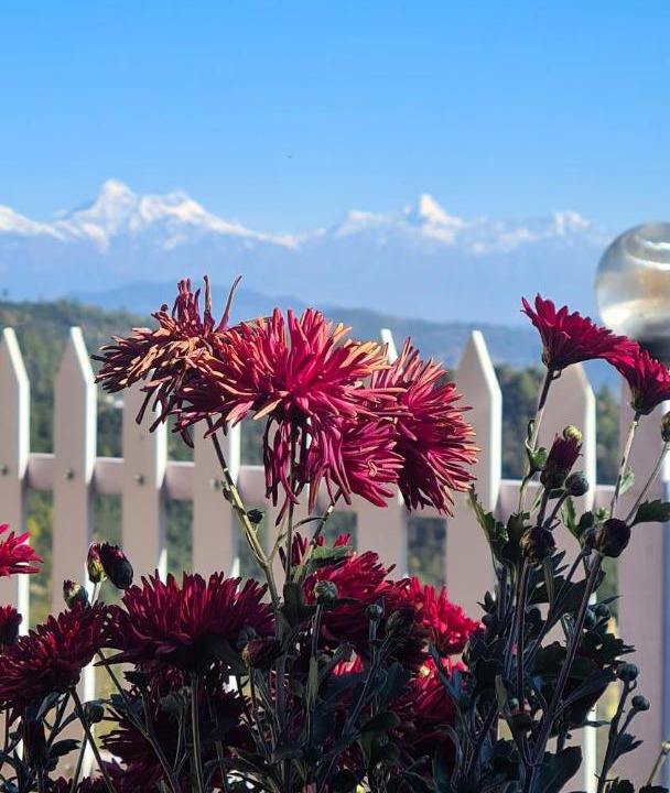 Photo of Others in Mukteshwar