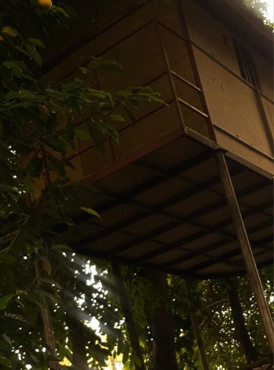 Photo of Others in Irinjalakuda