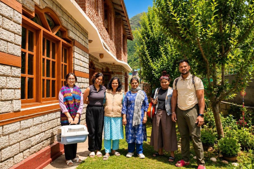 Photo of Others in Manali