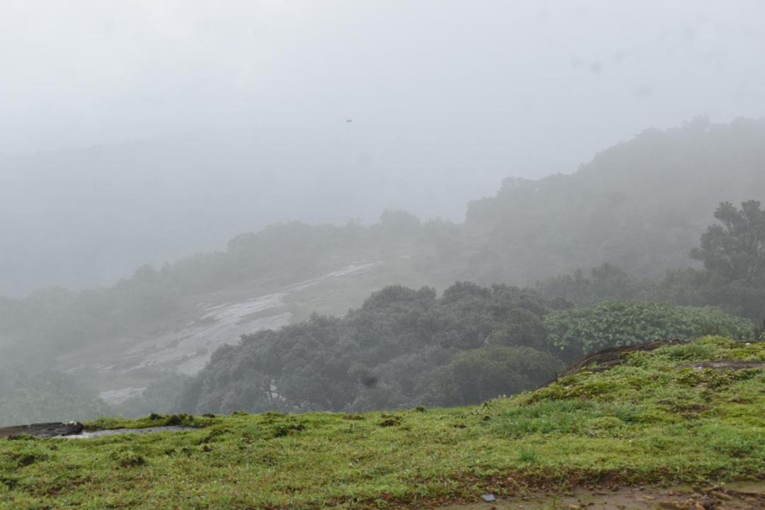 Photo of Others in Somvarpet