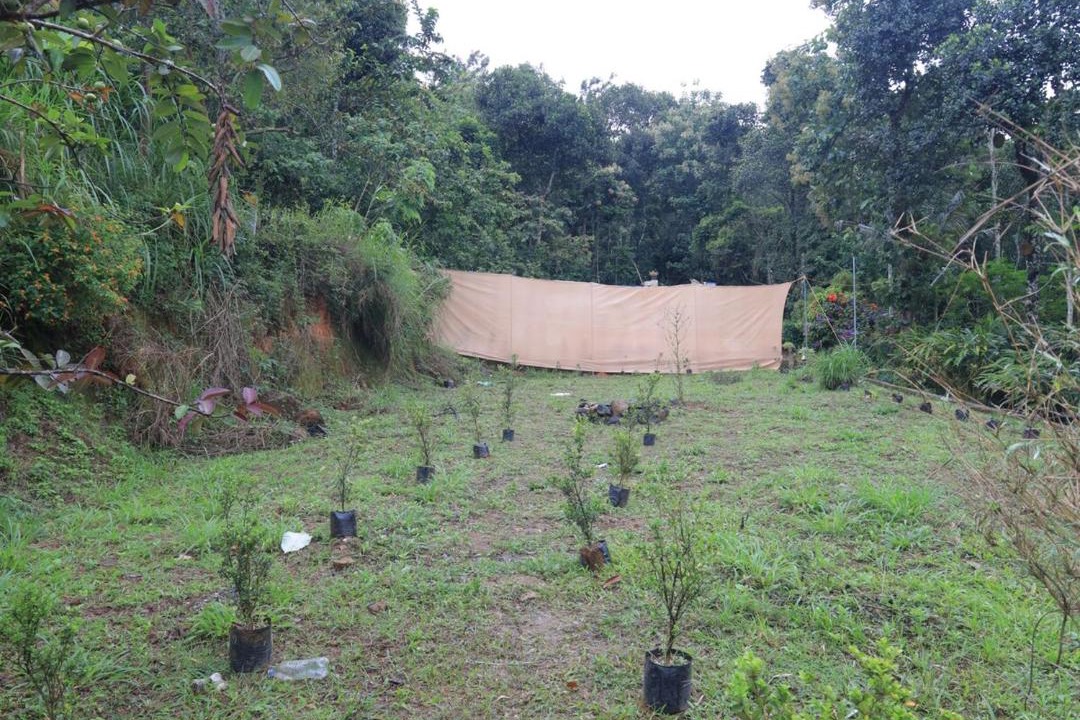 Photo of Outdoor in Pirmed