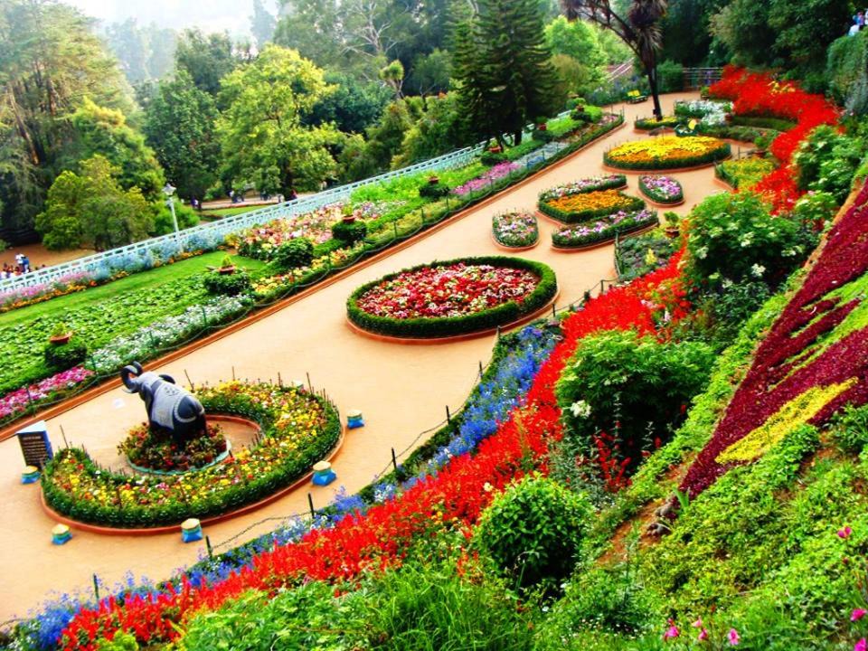 Photo of Others in Ooty