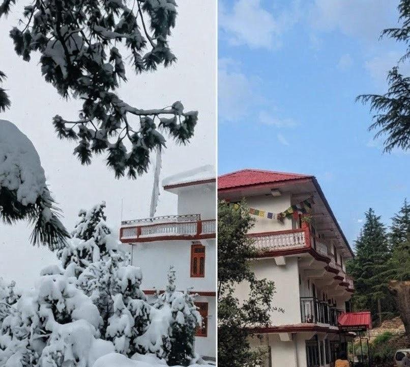 Photo of Others in Kalpa