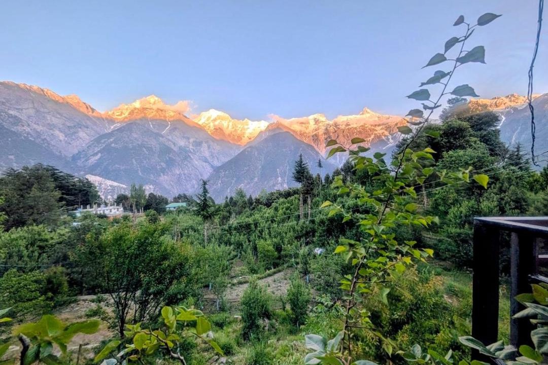 Photo of Others in Kalpa