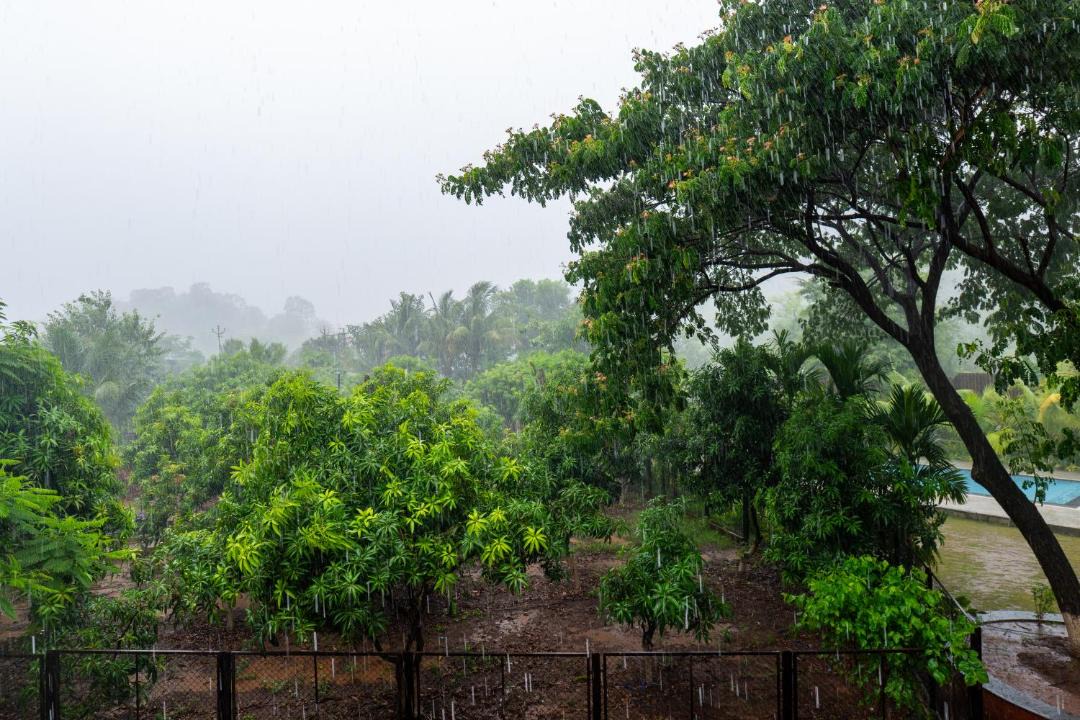 Photo of Others in Karjat