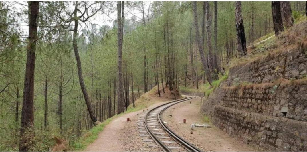 Photo of Others in Dharampur