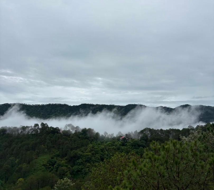 Photo of Others in Dharampur