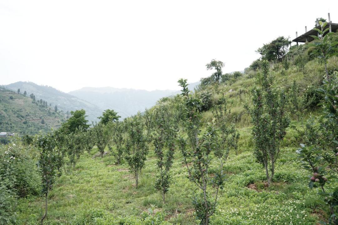Photo of Others in Rohru