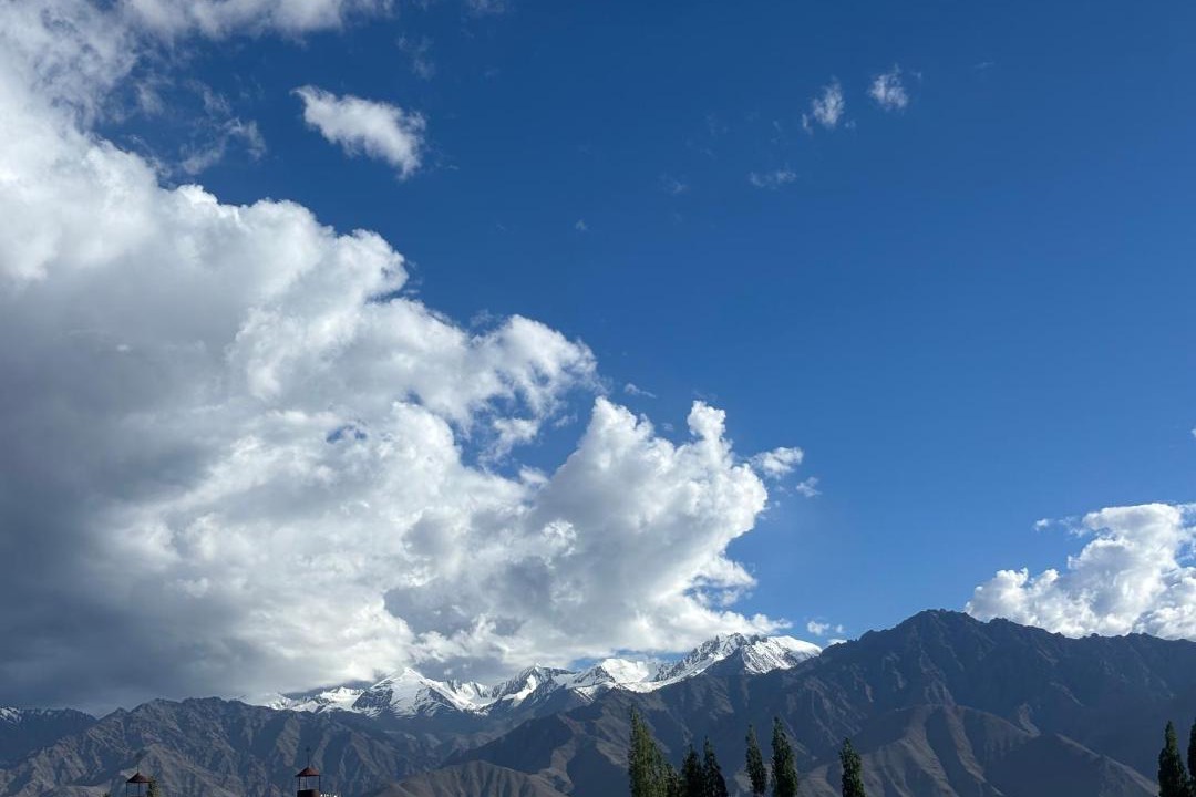 Photo of Others in Leh