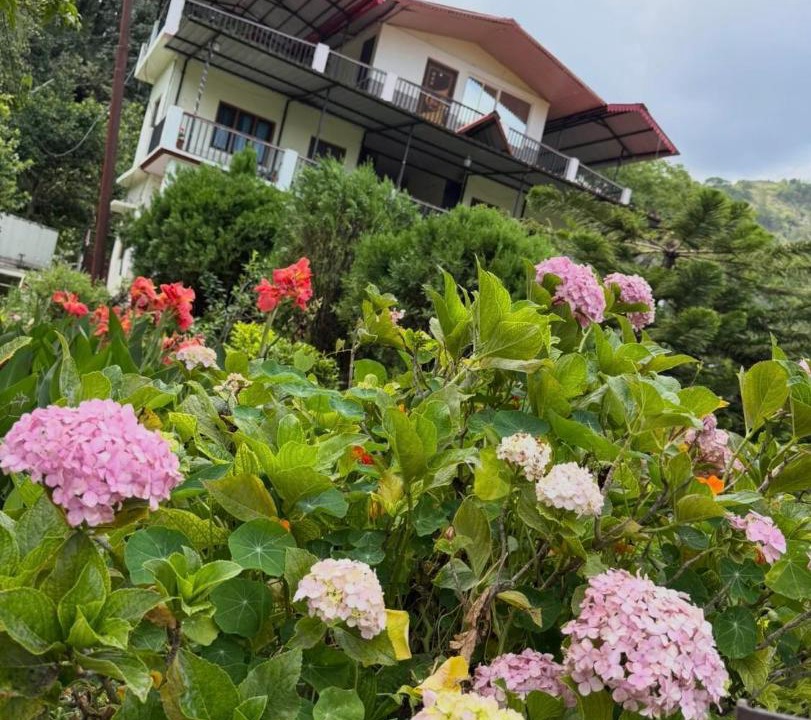 Photo of Others in Nainital