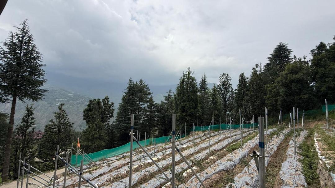 Photo of Others in Rohru
