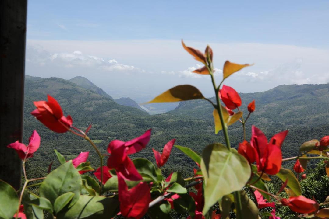 Photo of Others in Kodaikanal