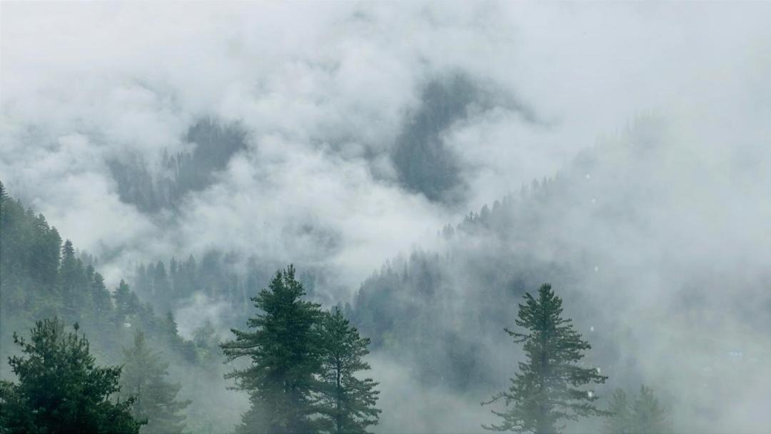 Photo of Others in Kullu