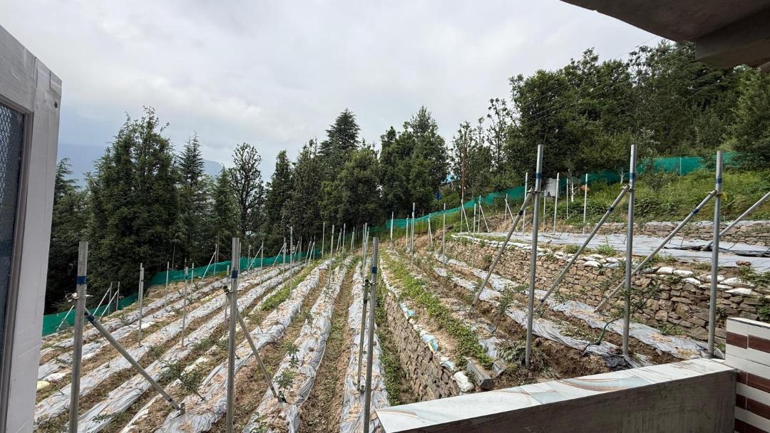 Photo of Others in Rohru