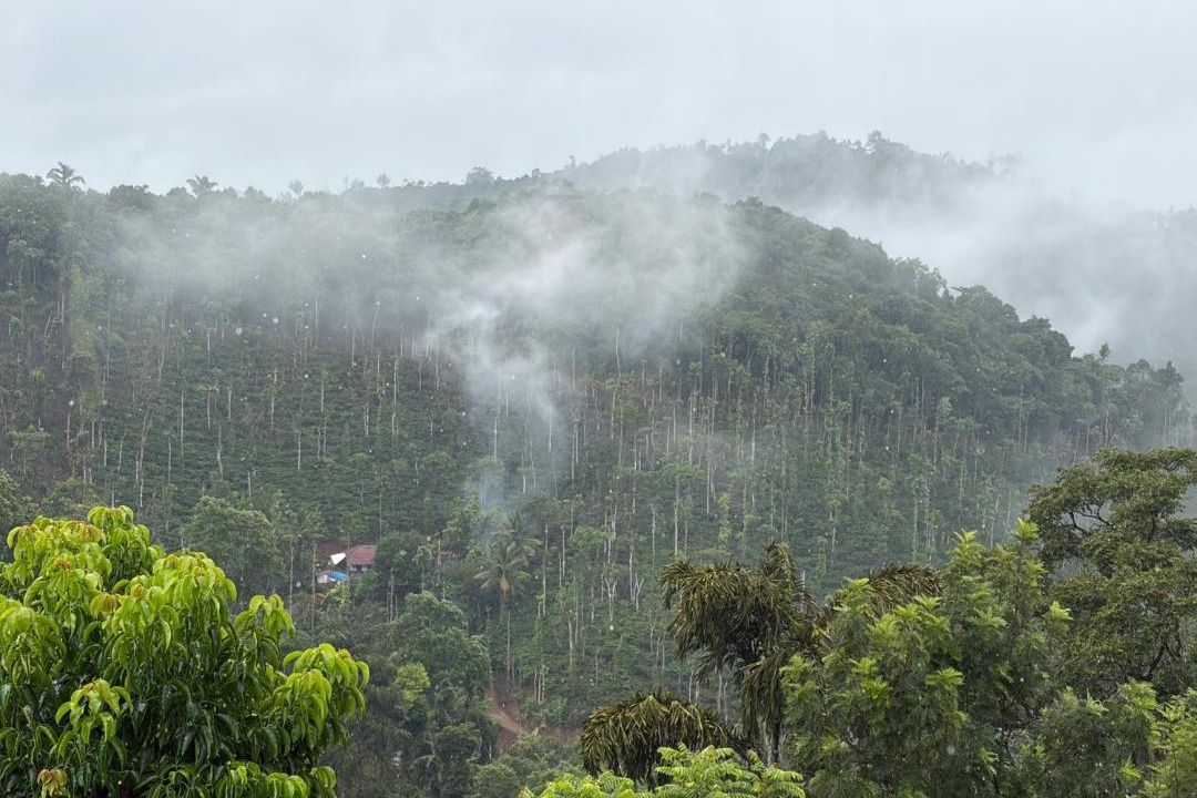 Photo of Others in Madikeri