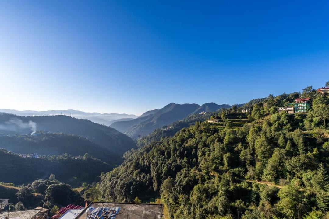 Photo of Others in Shoghi