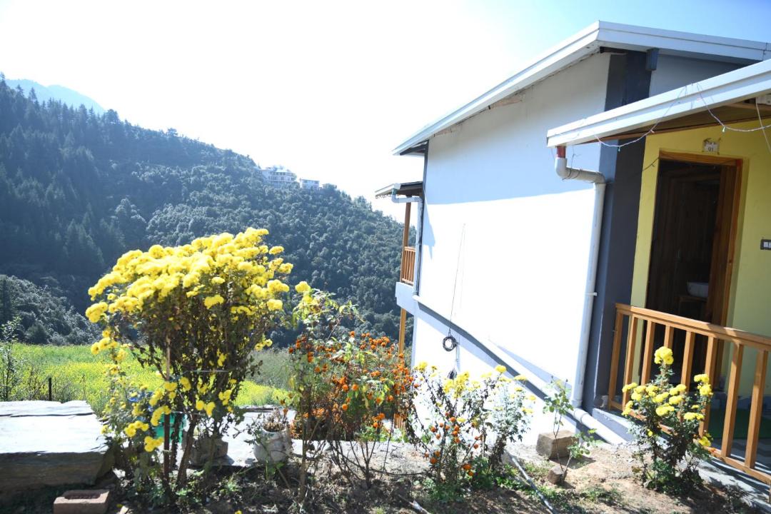 Photo of Others in Chakrata