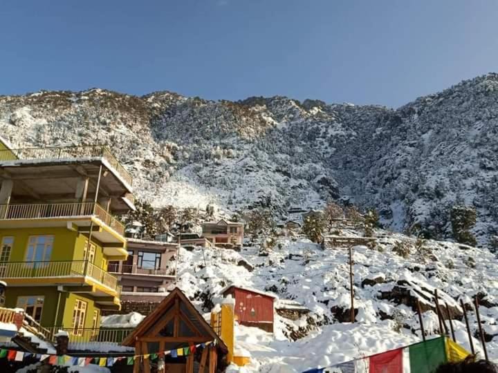 Photo of Others in Dharamshala