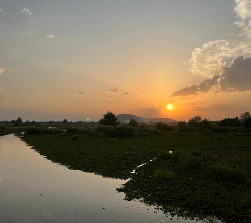 Photo of Others in Dal Lake