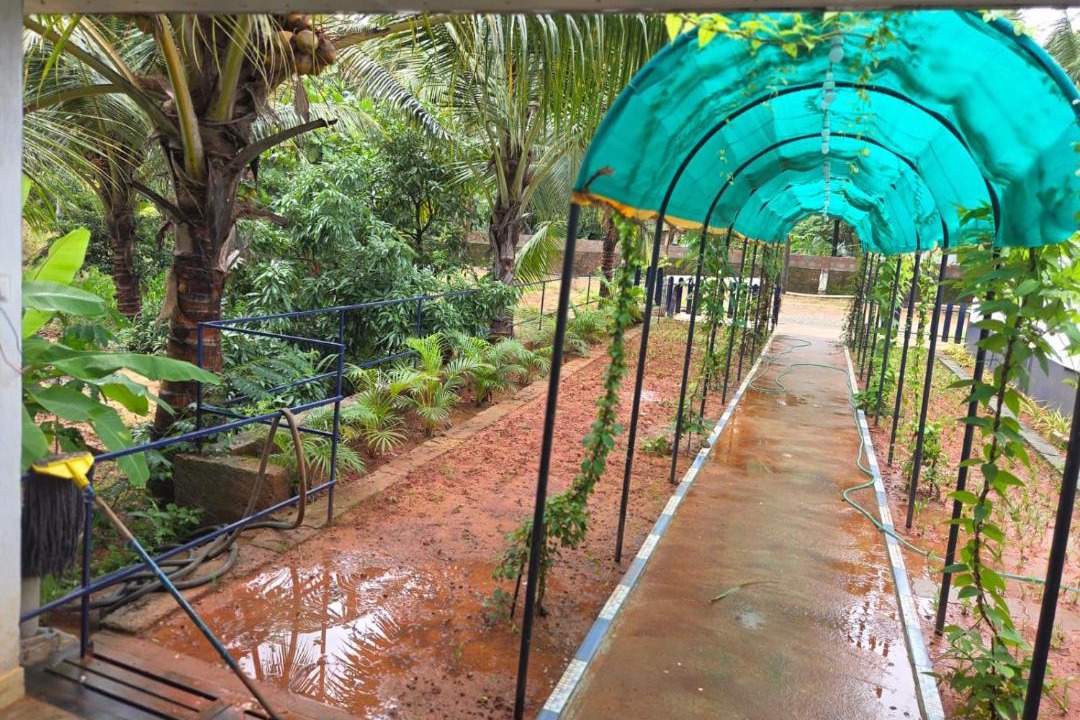 Photo of Others in Mangalore