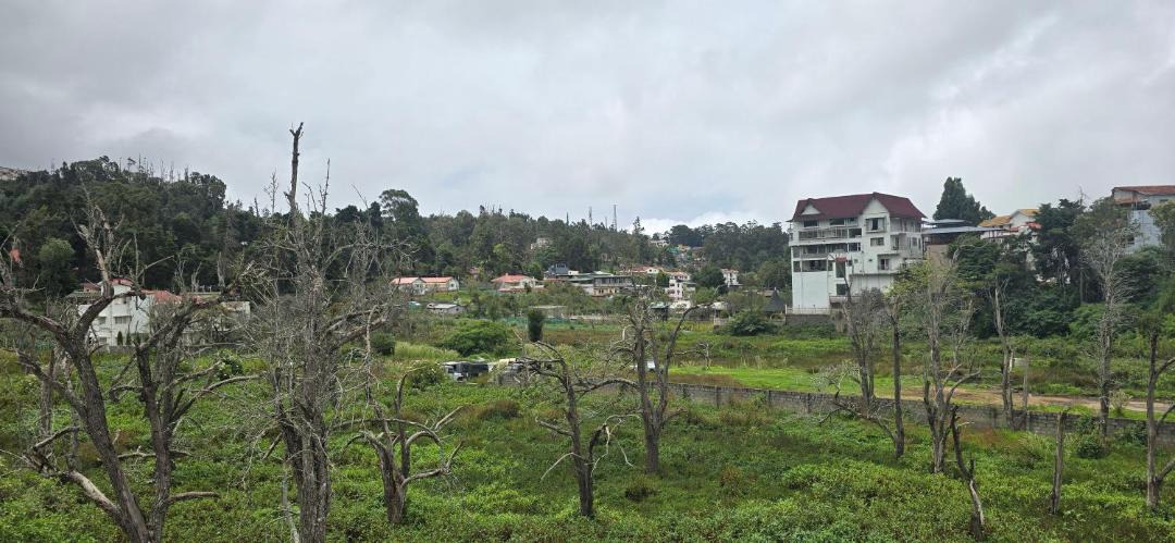 Photo of Others in Kodaikanal