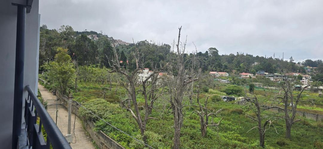 Photo of Others in Kodaikanal