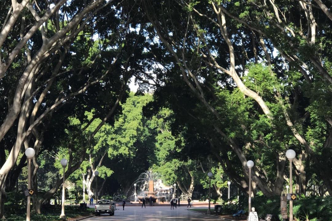 Photo of Others in Auburn
