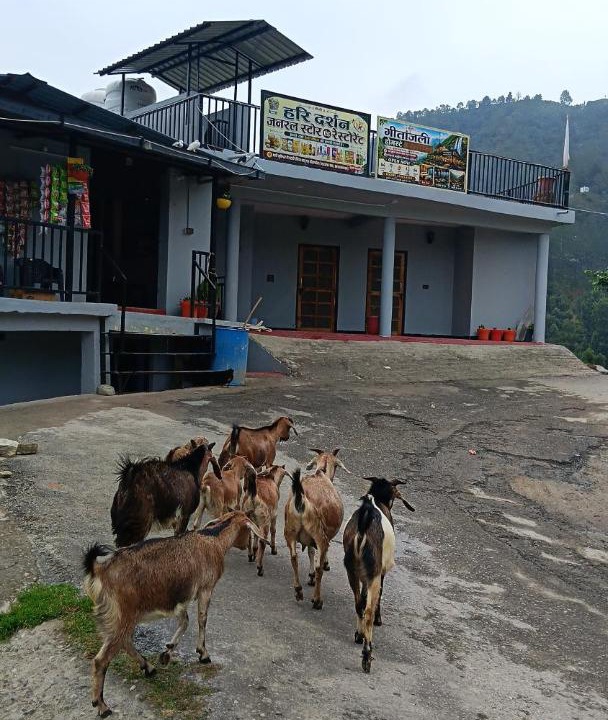 Photo of Others in Kaul