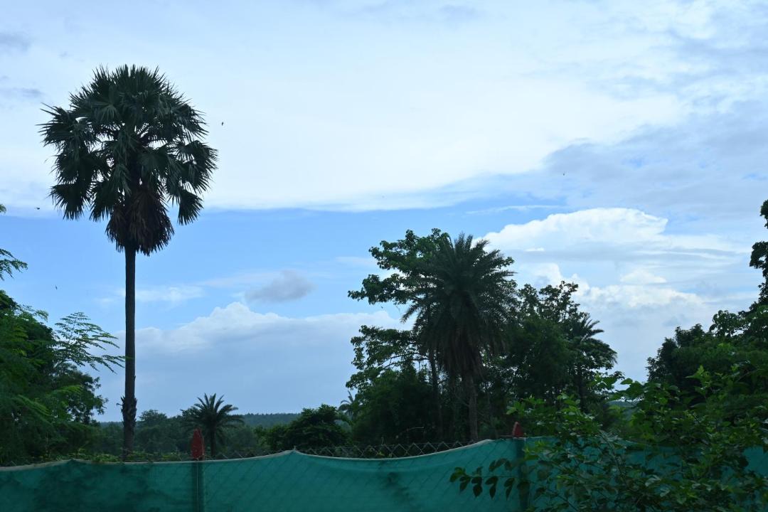 Photo of Others in Jhargram