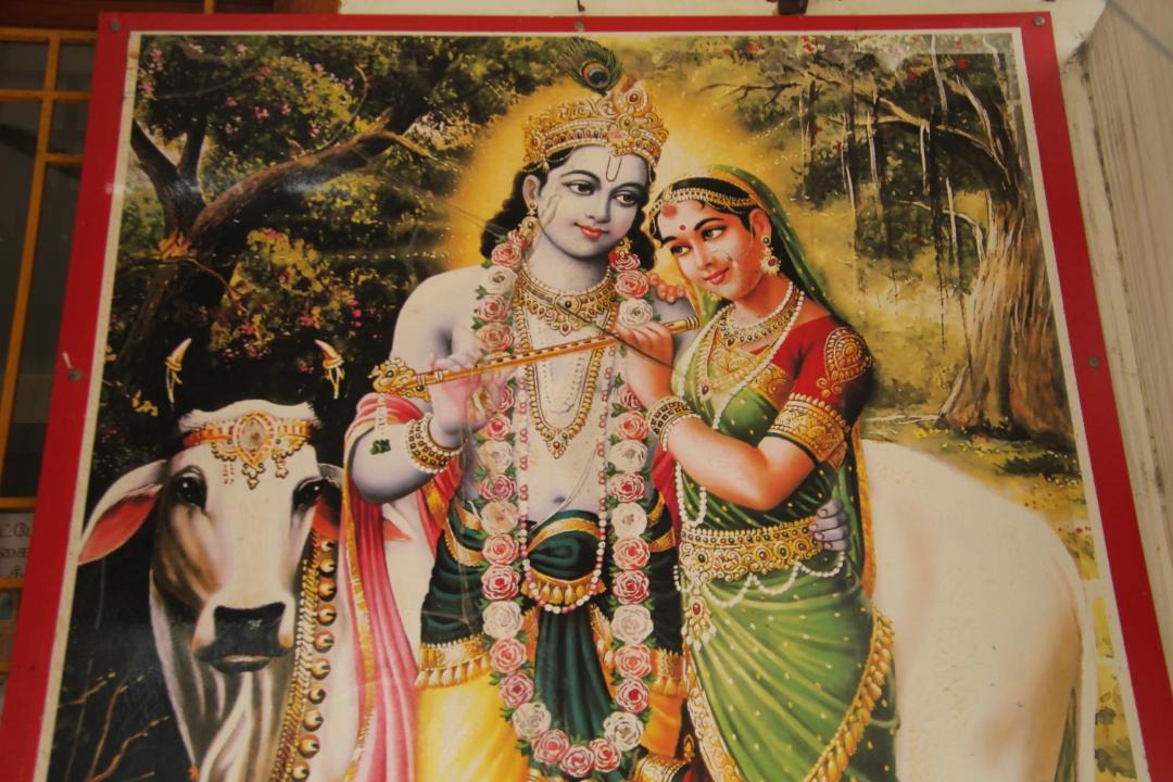 Photo of Others in Srirangam