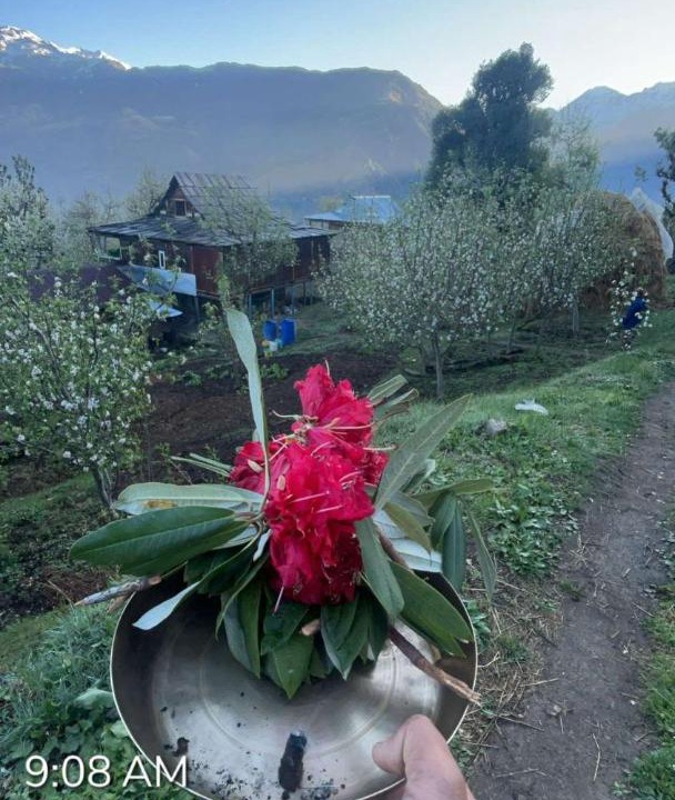 Photo of Others in Rohru