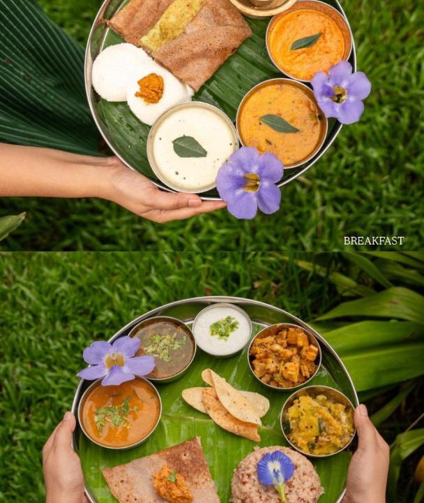 Photo of Others in Auroville