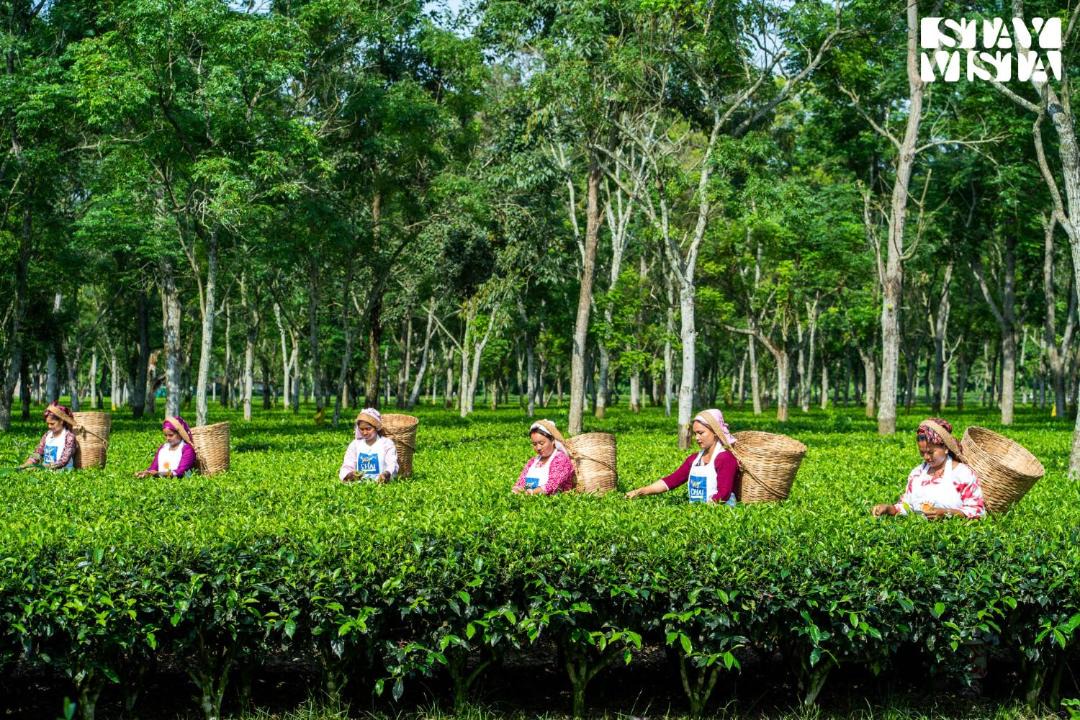 Photo of Others in Alipurduar