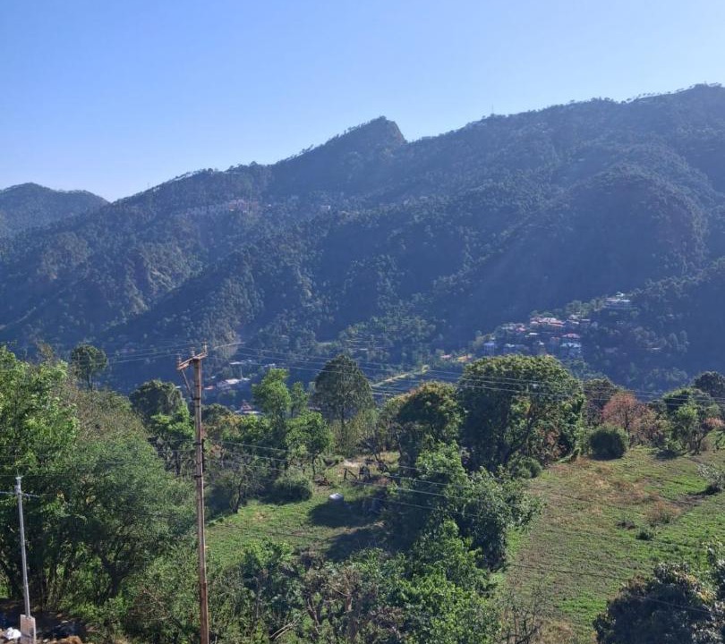 Photo of Others in Kasauli