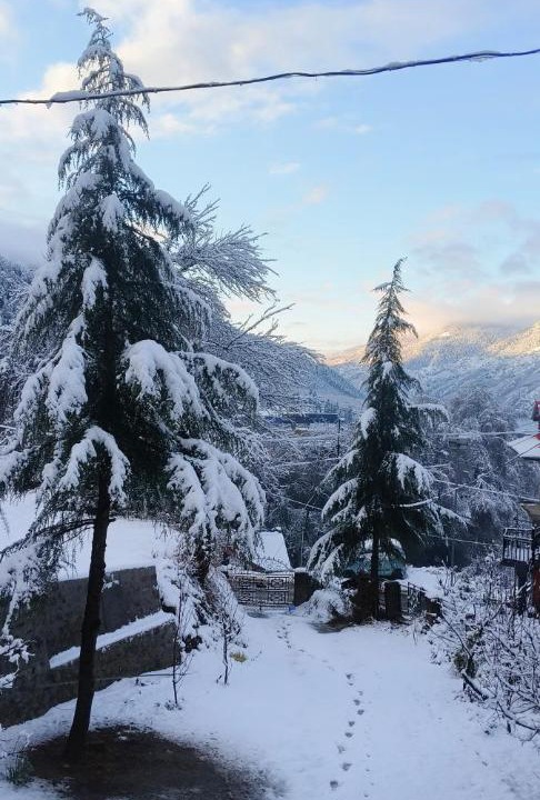 Photo of Others in Naggar